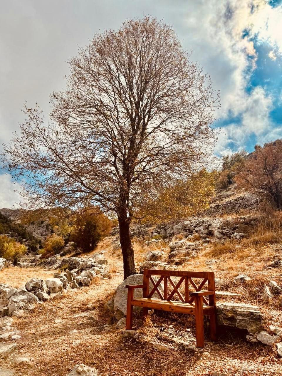 Stone Cellars Hotel Douma Екстериор снимка